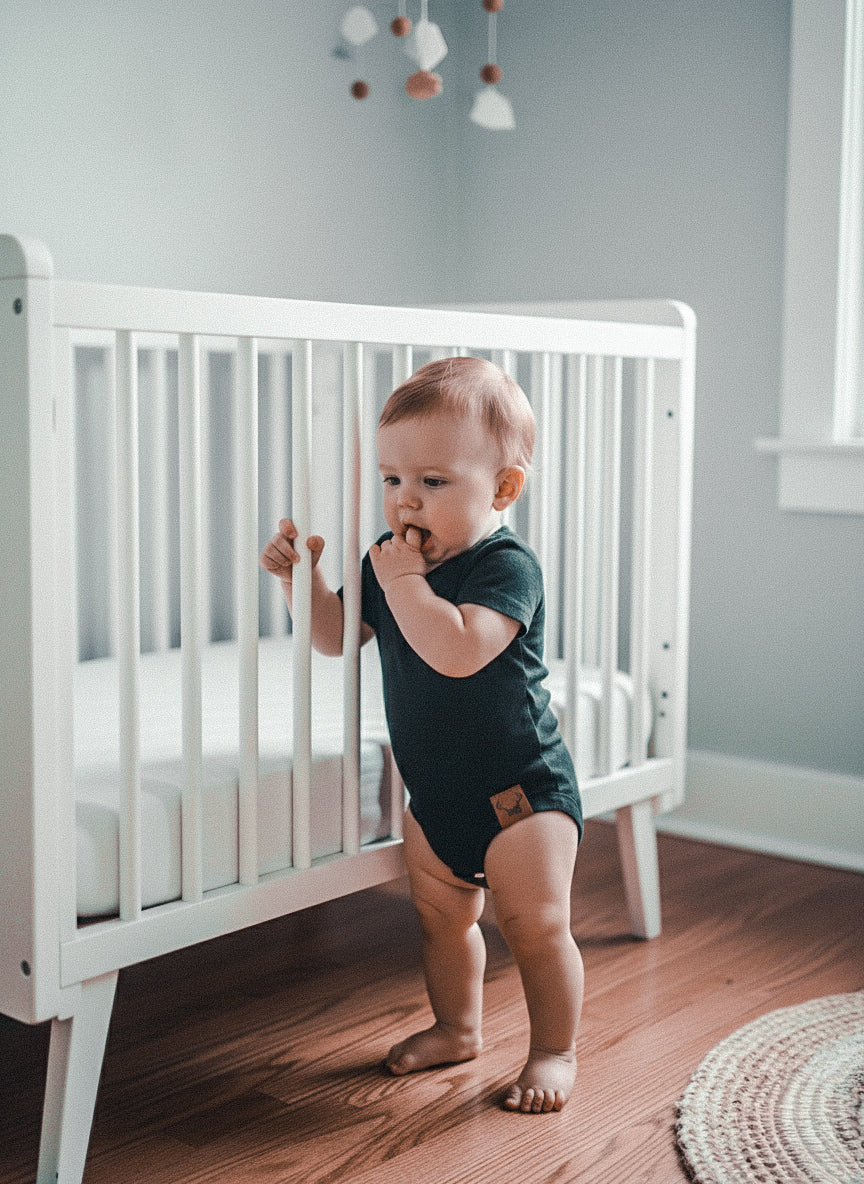 NOIR Cache-couche évolutif